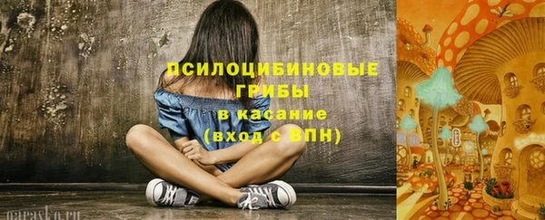 2c-b Армянск