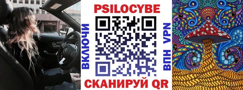 Псилоцибиновые грибы Psilocybine cubensis  закладки  Артёмовск 